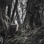 IMG_5348