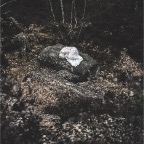 IMG_9528